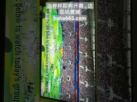 药厂今夏放,行球星离队,维尔茨续约,UED,ued,UED体育官网,UED官网,UED体育下载