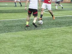 皮奥神助攻,助力劳塔罗,意甲赛场独,UED,ued,UED体育官网,UED官网,UED体育下载